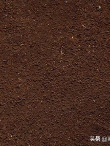 ​褐色是什么颜色(青色是什么颜色)