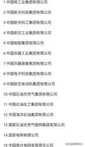 ​国资委是干什么的