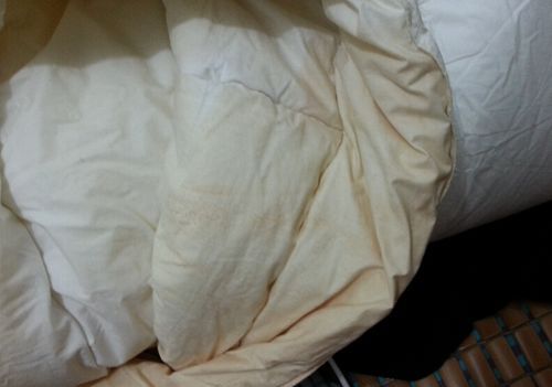 被子落了灰尘怎么办,梦见家里有很多尘土