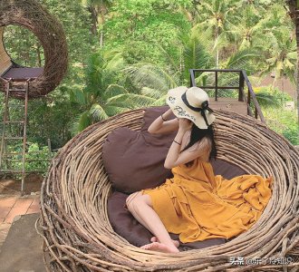 ​papi酱为什么不火了(papi酱为什么被黑)