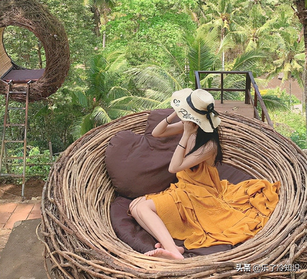 papi酱为什么不火了(papi酱为什么被黑)-图1 papi酱为什么不火了(papi酱为什么被黑)-图1