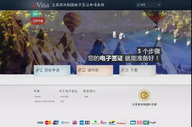 怎么申请土耳其电子签证(土耳其电子签证申请步骤详解)(2)