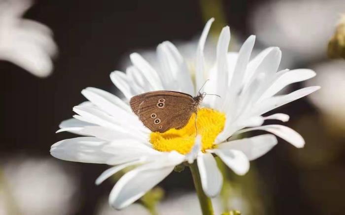 女朋友对你说失望了怎么哄(女生真正对你失望了)