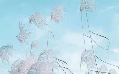 ​女朋友对你说失望了怎么哄（女生真正对你失望了）