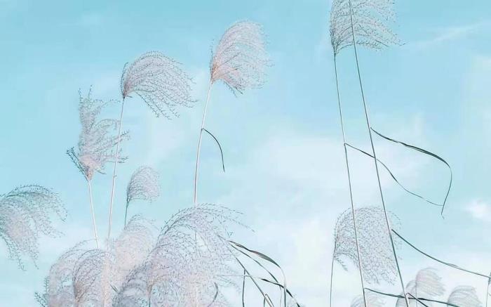 女朋友对你说失望了怎么哄(女生真正对你失望了)