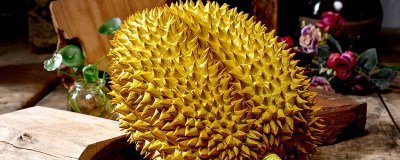 ​榴莲榴莲怎么挑选 榴莲要怎样挑选