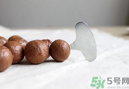 夏威夷果是酸性还是碱性?凉性还是热性