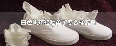 ​白色帆布鞋晒黄了怎么样变白
