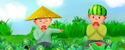 ​无瓜是什么意思内涵