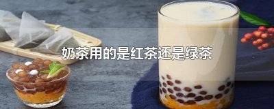 ​奶茶用的是红茶还是绿茶