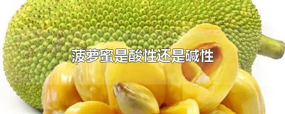 ​菠萝蜜是酸性还是碱性