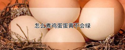 ​怎样煮鸡蛋鸡蛋黄不发绿 怎样煮鸡蛋黄不绿