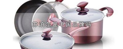 ​苏泊尔是中国品牌吗