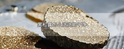 ​黑松露怎么洗洗的干净