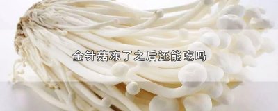 ​金针菇冻了之后还能吃吗