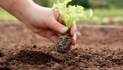 ​尼安德特人灭绝的原因