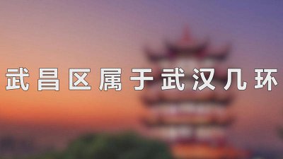 ​武汉市江夏区属于几环 武汉市汉南区属于几环