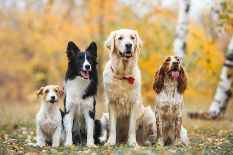 利率计算器人民币兑换港币(人民币对外币汇率)