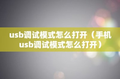 ​斯诺登：美围绕被击落物体制造恐慌 以转移对“北溪”注意力