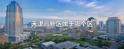 ​天津高新区属于哪个区
