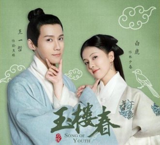 ​玉楼春一共多少集（玉楼春简介）