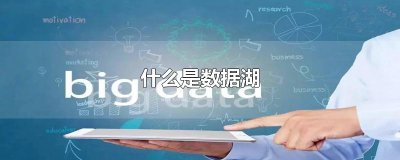 ​什么是数据湖