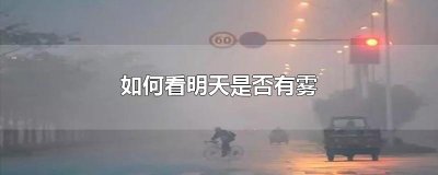 ​如何看明天是否有雾