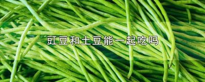 ​豇豆和土豆能一起吃吗早餐 豇豆和土豆能一起吃吗会中毒吗