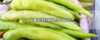 ​大量新鲜辣椒怎么保存好 新鲜辣椒咋保存