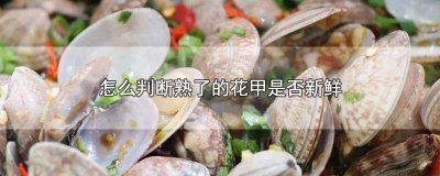 ​花甲如何判断新鲜 怎么判断花甲有没有熟