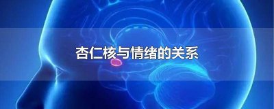 ​杏仁核与情绪的关系 杏仁核与情绪的关系图片