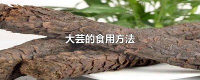 ​大芸的功效和作用百度百科 大芸的功效和作用,男用女用