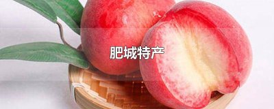 ​肥城特产有哪些可带走 肥城特产 肥桃的作文