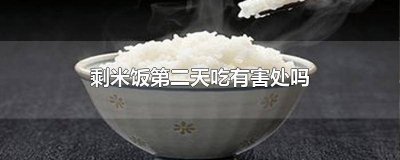 ​二天的米饭还能吃吗 剩两天的饭能吃吗