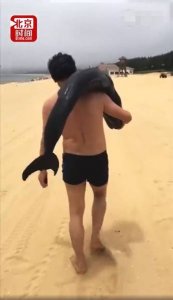 ​广东：游客活捉海豚直接扛走