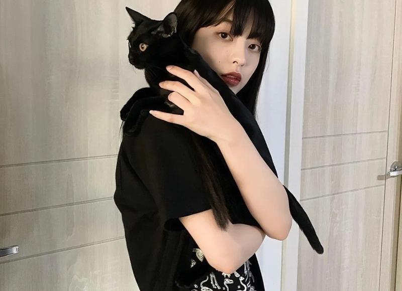 给枯燥的生活找点乐趣 聊天经典坑人套路对话 给枯燥的生活找点乐趣 聊天经典坑人套路对话