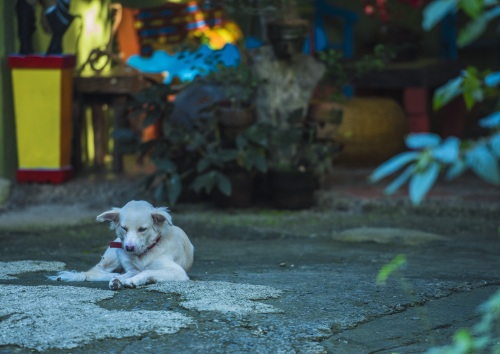 东南亚旅游新去处，安静的菲律宾薄荷岛