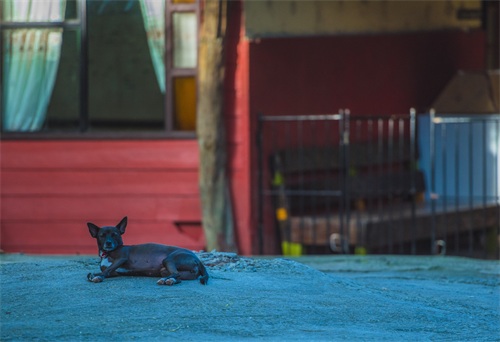 东南亚旅游新去处，安静的菲律宾薄荷岛