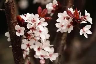 我国各校校花(传说中的河南高校校花竟然长这样)(18)