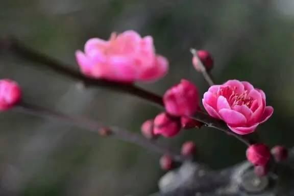 我国各校校花(传说中的河南高校校花竟然长这样)(6)