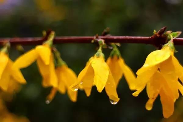 我国各校校花(传说中的河南高校校花竟然长这样)(29)