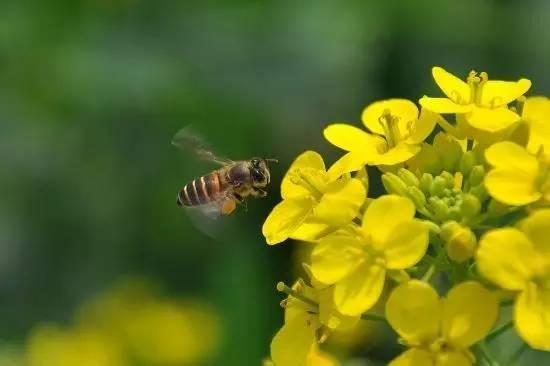 我国各校校花(传说中的河南高校校花竟然长这样)(9)
