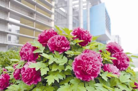 我国各校校花(传说中的河南高校校花竟然长这样)(26)