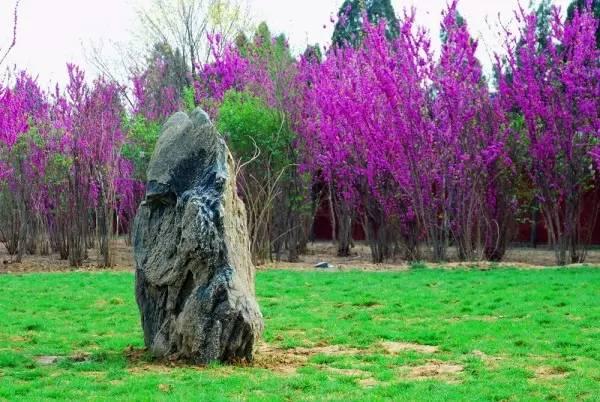 我国各校校花(传说中的河南高校校花竟然长这样)(14)