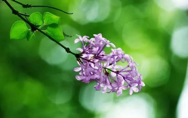 我国各校校花(传说中的河南高校校花竟然长这样)(23)