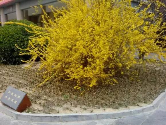 我国各校校花(传说中的河南高校校花竟然长这样)(27)