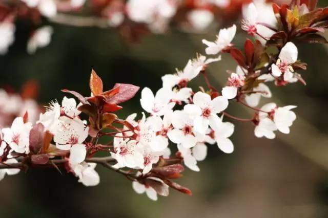 我国各校校花(传说中的河南高校校花竟然长这样)(19)