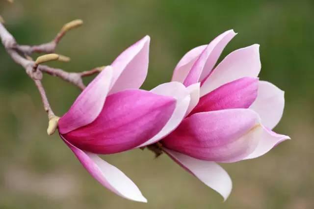 我国各校校花(传说中的河南高校校花竟然长这样)(11)