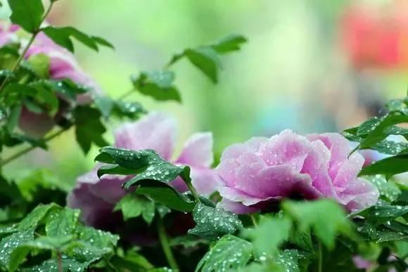 我国各校校花(传说中的河南高校校花竟然长这样)(24)