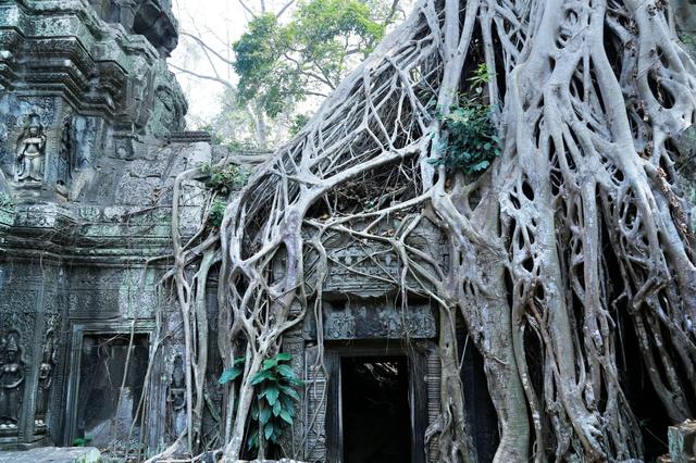 湖北特大发现战国神墓（湖北发现九连环墓）(3)